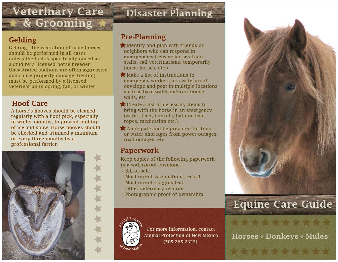APNM EquineCareBrochure_Page_1
