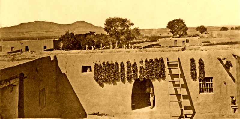 Placida of Mexican House, Los Lunas, New Mexico by Alexander Gardner, 1867.
