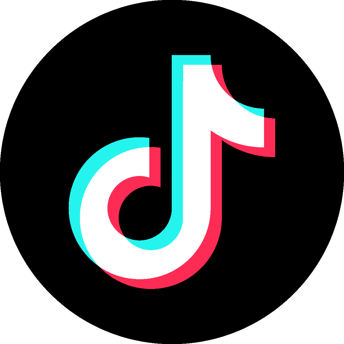 TikTok Icon Black Circle