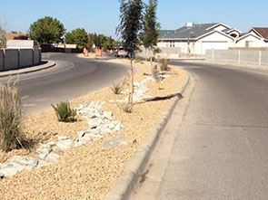 Camelot Road Landscape Project 2013